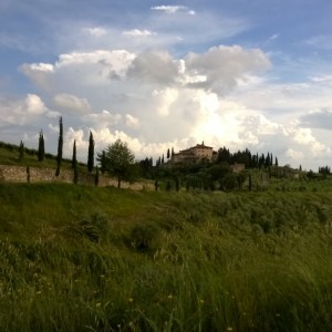 greve in chianti temporale