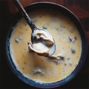 Oyster stew