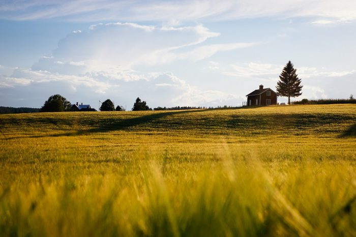 to make a prairie