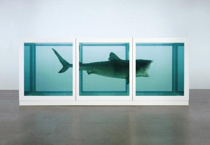 Damien Hirst | Inscatolare lo squalo