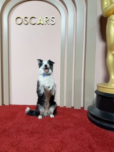 Oscars dog